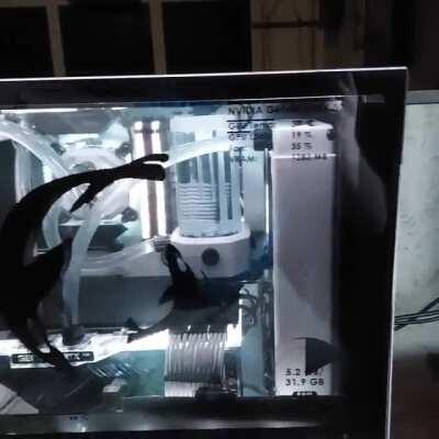 My mostly finished build. DIY transparent LCD. 3080, i9, 32gb ram.