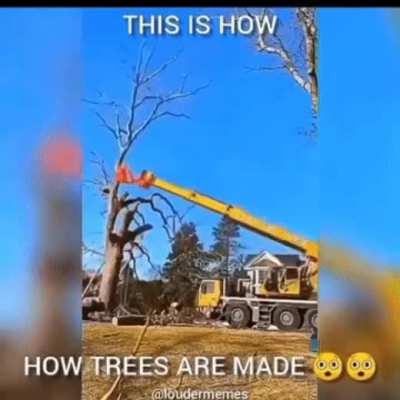 They faked the whole thing!