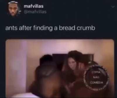 Where are they going