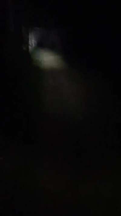 Went to the woods in my backyard cause we thought there were some squatters, heard a noise so we started recording. Rest of the video speaks for itself