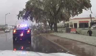 WCGW trying to move a fallen tree branch