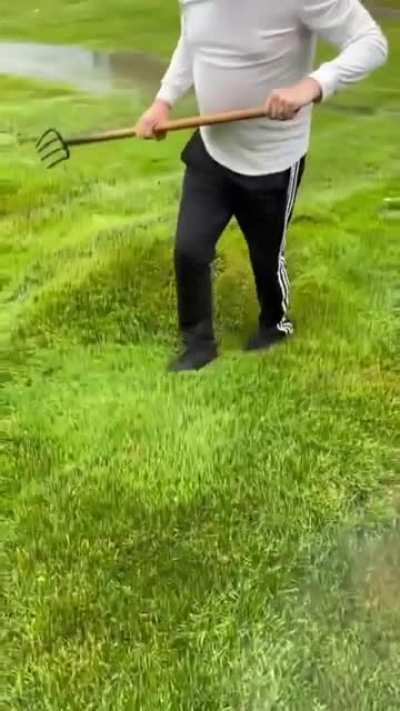 How vegans make chocolate milk.