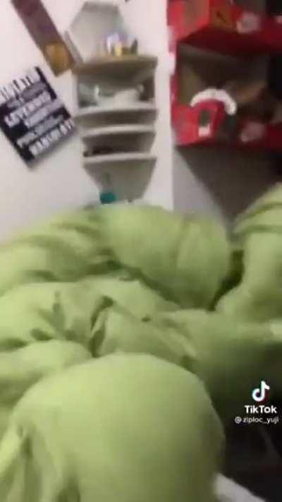 idiots in a battle of life and death with some beetles