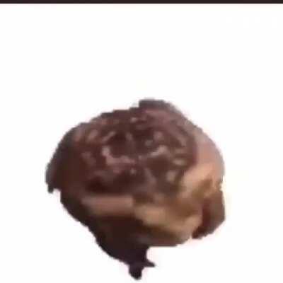 Cuando la feminista se entera que se dice duerman y no duerwoman