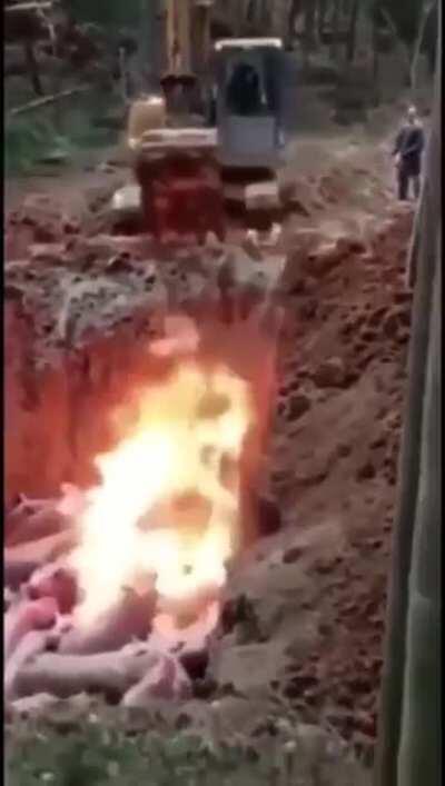 Where was that song from?