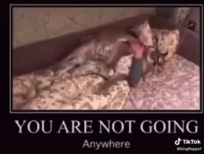 TU NO VAS A IR A NINGUN LADO