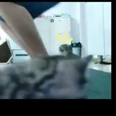 Squatting isn't just dangerous for the knees. Prove me wrong.