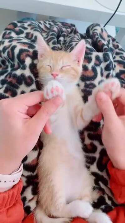 We need to smile more. This cracks me up.