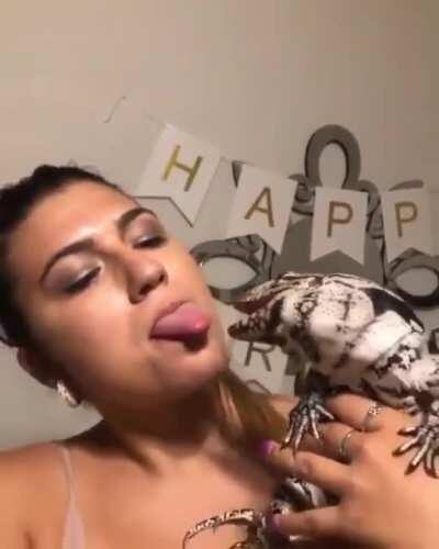 Showing tougue to a Lizard, Not a good idea.