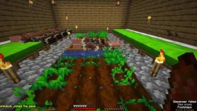 Confused villager noises