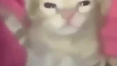 One of the videos of all time (as promised)