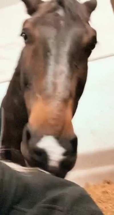 Thanks for the back rub, buddy