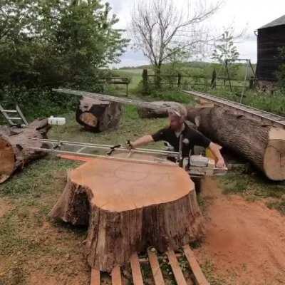 Specialized gas powered saw to cut thin slices of tree trunk