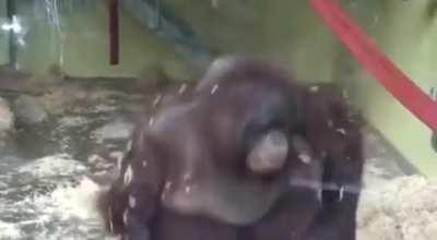 ME WHEN SOMEONE SUGGEST SOCIALISM AS A VALID AND WELL THOUGHT OUT OPTION !(WHICH IT ISN'T!)