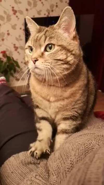 Hostage taking in action! Send snacks!