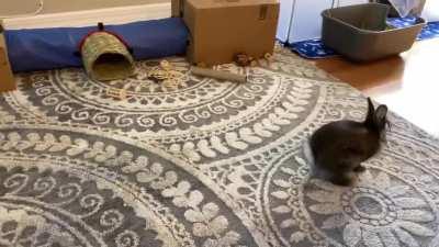 I’ll have whatever he’s having!