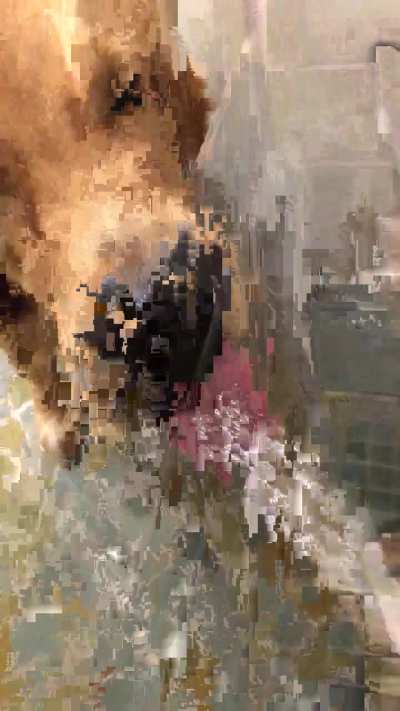 Difference between Golden Retrievers and GSD