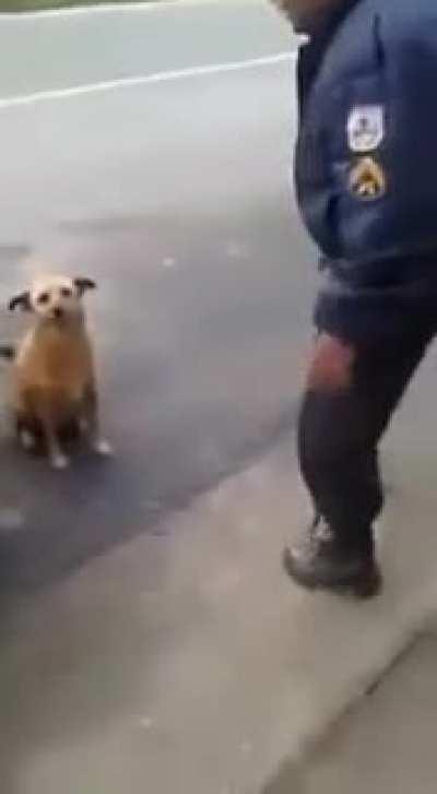 Police officer search a bad boy!