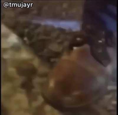 New Klan Member Incoming 💀