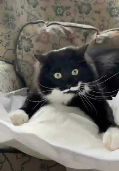 CEO oF fOrTuNe 500 CoMpAnY DEsTRoyS PApErwORK BeFoRe coMMItTiNg sUICIDe tO aVoid aUdiTs