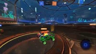 A true thing of beauty