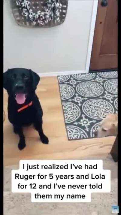 They look so shocked!