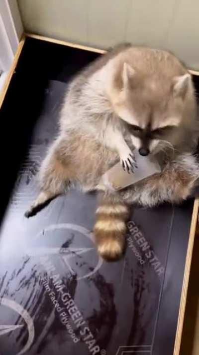 Chomping on some snacks getting cozy