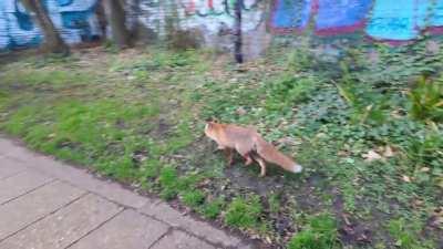 Obviously getting the first run of the year in