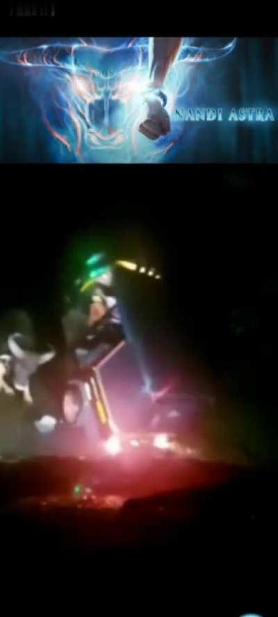 🐂 🐂 🐂 🐂 🐂