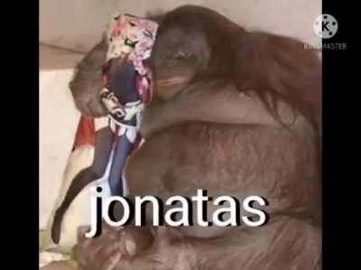 jonatas