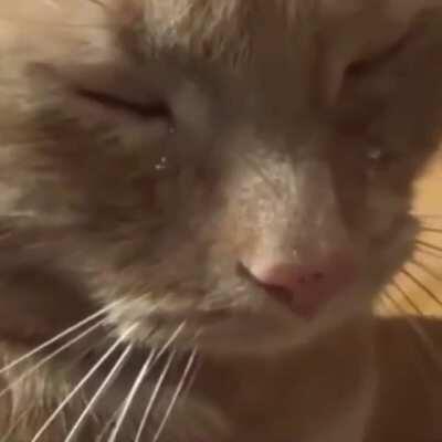 I pray one day we get homicide in cdq