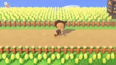 My own personal countryside.