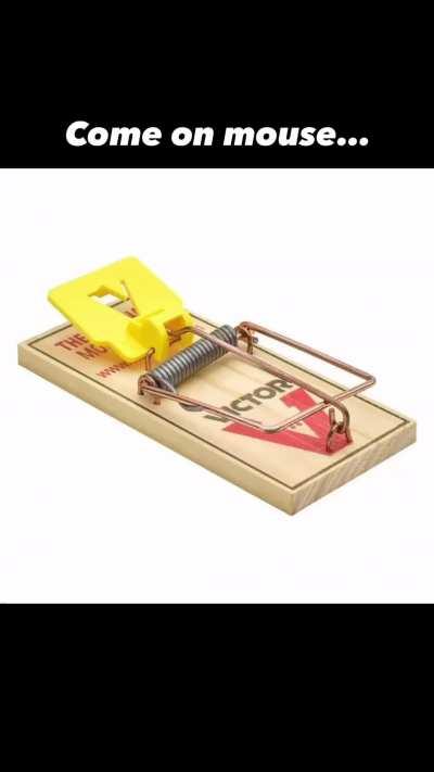 ✝️(credits: ig andrewgarner2.0)