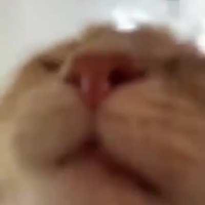 idk why im putting this here lol