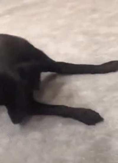 “Where’d my ball go?!”