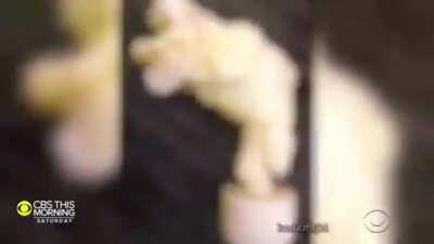 🎸🎸🎸 Ancient Cool Guy Club 🎸🎸🎸