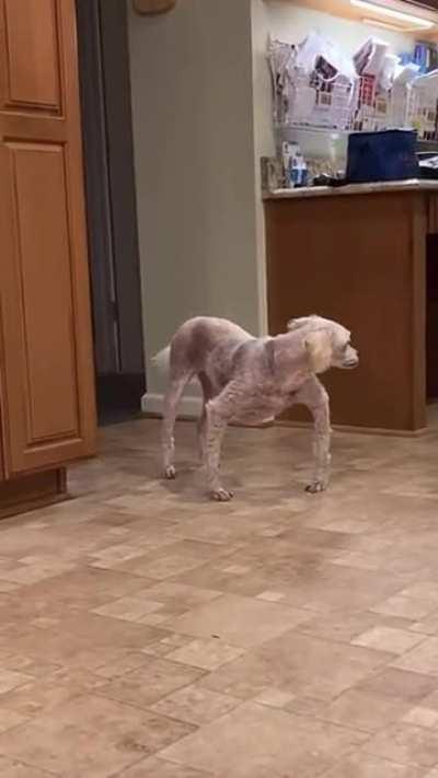 He comes, Edith hide the children.