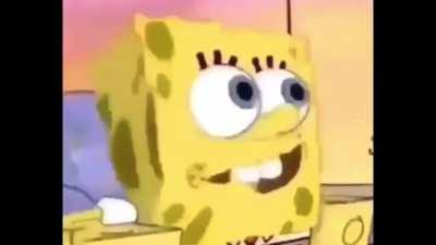 Ah hell nah sqartwird was pakrichard all along