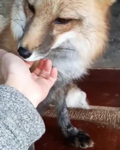 And what did you eat so delicious without me?