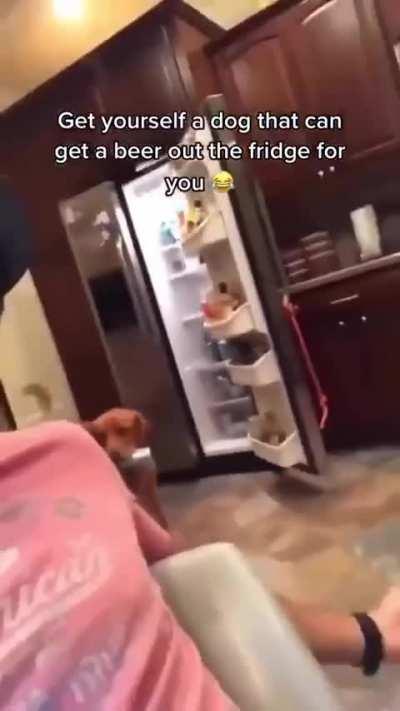 Была бы у меня такая собака, я может и не женился бы никогда