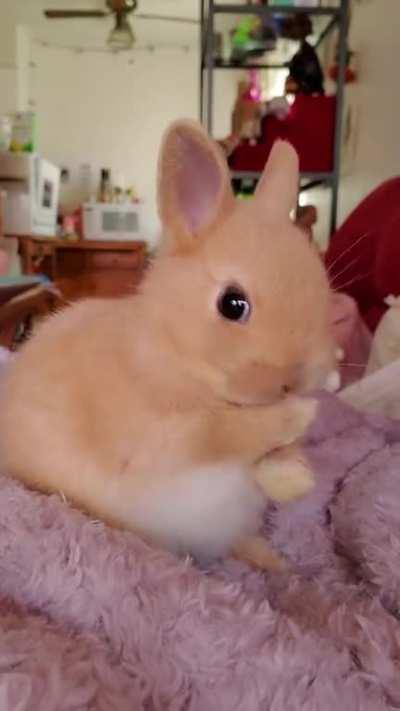 This little girl has stolen my whole heart ❤