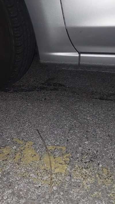 Lil bro got the zoomies