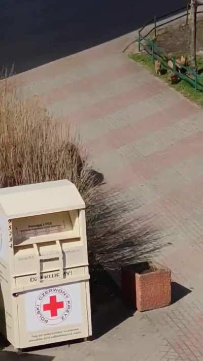 Bruh... Who let all of these wunks out? 