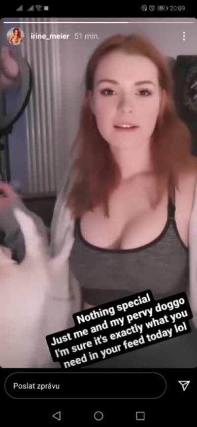 The happiest doggo...