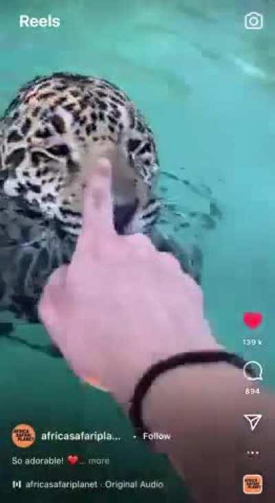 NO LONGER FORBIDDEN??