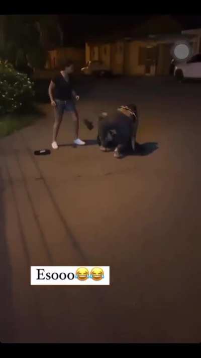A well-endowed girl almost killed the black Forest Gump