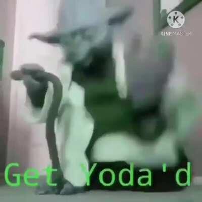 Yoda trusted you