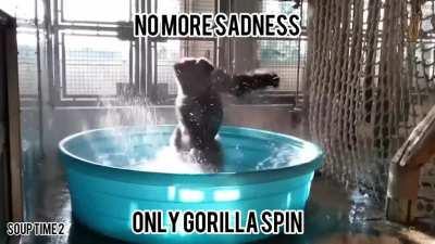 Your daily dose of wholesome