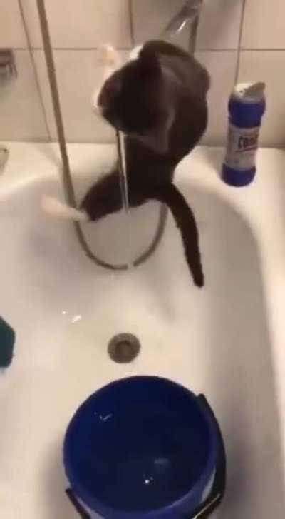 One must learn not to live on the edge