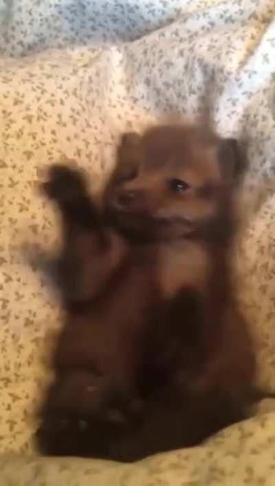 Немного милоты